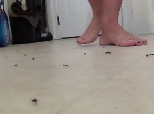 Chinese Girl Ants Crush Gtsfetish Com