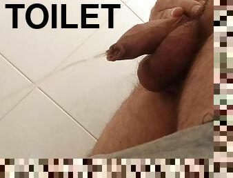 dyakol-masturbation, ihian, baguhan, gawa-sa-bahay, panti, toilet, fetish, solo, titi