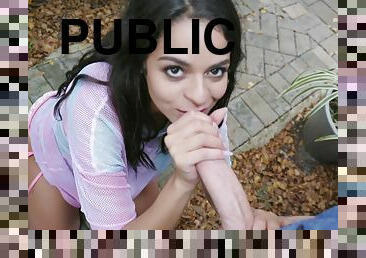 Public Pickups - Revealing Vienna 2 - Vienna Black