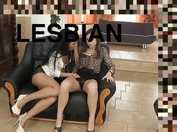 lesbo-lesbian, lelu, ruskeaverikkö