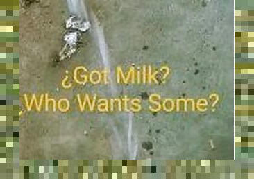 ¿Got Milk?