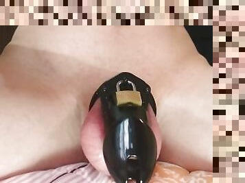 Chastity cage and anal plug