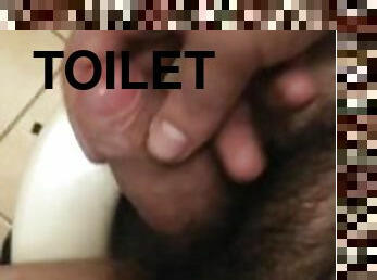masturbation toilet hairy