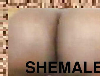 Hot Shemale Porn 272