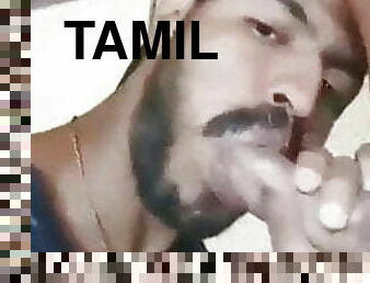 tamil boy sucking