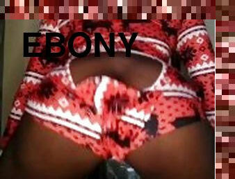 Sexy Ebony Knows How to Shake it!