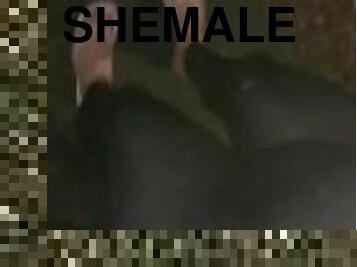 Shemale Latin in Leggings at night alone