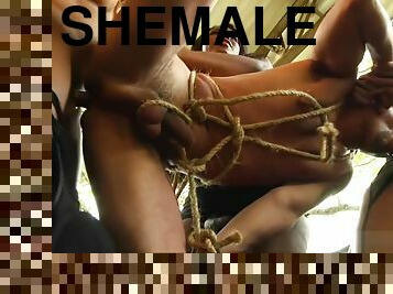 waria-shemale, penis-besar