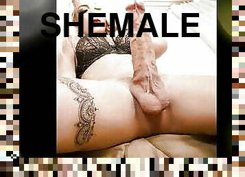Shemale Sex Fun