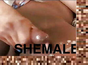 Shemale 
