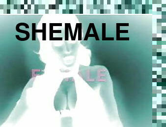 shemale, valtava-mulkku, ladyboy