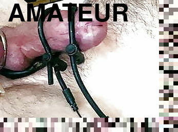 masturbaatio, amatööri, lelu, gay, bdsm, mälli