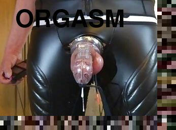 orgasmi, amatööri, mälliotos, gay, hieronta, pilluuntulo, bdsm, mälli, fetissi, soolo