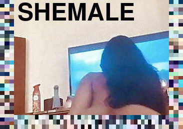 shemale, amatör, hardcore