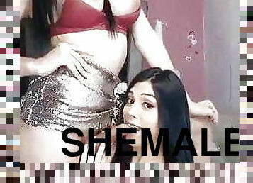 Shemale Hardcore Sex 131