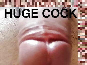 Cock