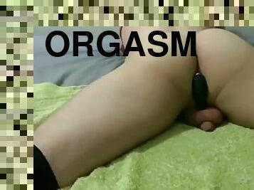 orgasm, amatör, anal, cumshot, leksak, gay, sprut, europeisk, euro, ensam