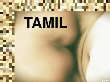 Tamil Village Sharee Aunty Fucking Husband Friend Sex Video