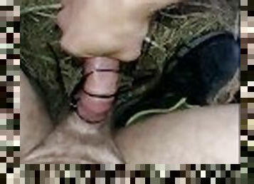 turture masturbation cock head in the forest outdoor