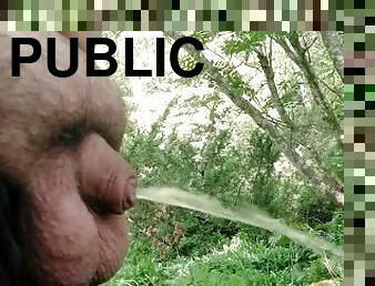 Fat man pissing with small uncut cock clear piss