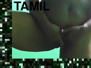 Tamil Aunty Telugu Aunty Kannada Aunty Malayalam Aunty Kerala Aunty Hindi Bhabhi Horny Desi North Indian South Indian Ho