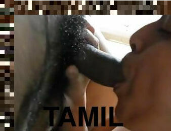 Sexy Tamil Girl Sucking Dick Of Her Lover