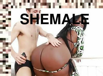 shemale, perä-butt