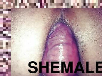 perä, shemale, anaali, valtava-mulkku, teini, lelu, pilluuntulo, auto, ladyboy, nuori-18