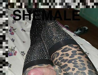 Shemale in lycra leopard catsuit 
