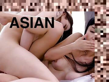 asiatic, paroasa, pasarica, travestit, bunaciuni, muie, lesbiana, jucarie, transexual, sarutand