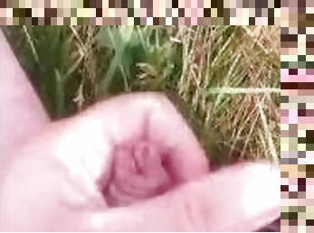 Quick jerk off in a Meadow