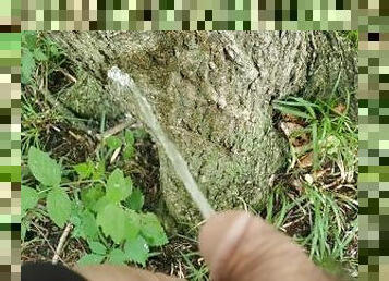 peeing on a tree