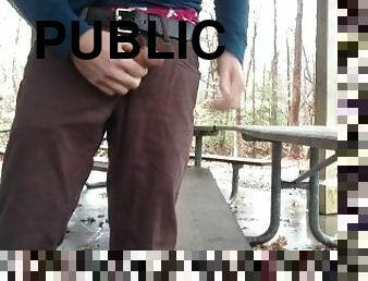 Jerking off at the public pavilion. Showing my American Eagle boxers too