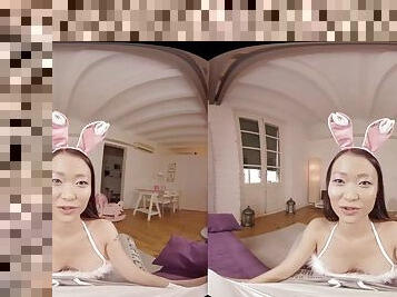 Asian Bunny VR